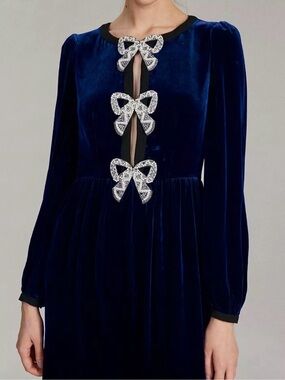 $695 Blue New Saloni Camille Dress